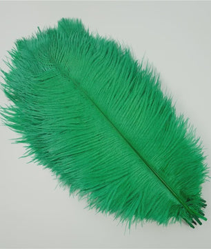 Set van 10 Gekleurde Struisvogelveren voor Knutselen, Decoratie en Feesten
