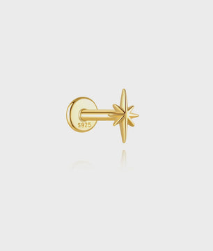 925 Sterling Zilveren Kolibrie Oorbellen Dames - 18K Goudkleurig Platte Achterkant Studs