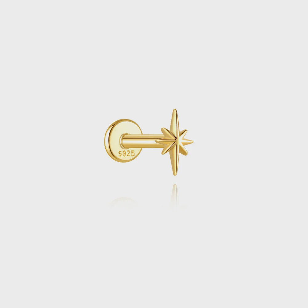 925 Sterling Zilveren Kolibrie Oorbellen Dames - 18K Goudkleurig Platte Achterkant Studs