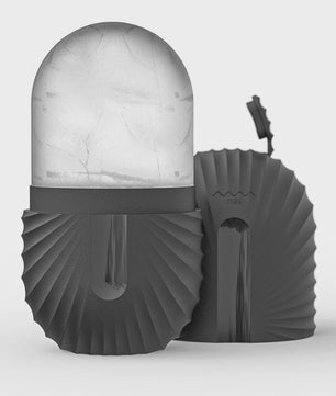 Gezichtsroller & Gua Sha Set: Luxe Roestvrij Staal & IJsroller voor Huidverzorging