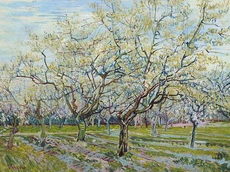 DIY Diamond Painting: Van Gogh Meesterwerken - Almond Blossoms & Starry Night