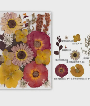 Set Gedroogde Bloemen & Bladeren (16-19 Stuks) - Natuurlijk & Realistisch