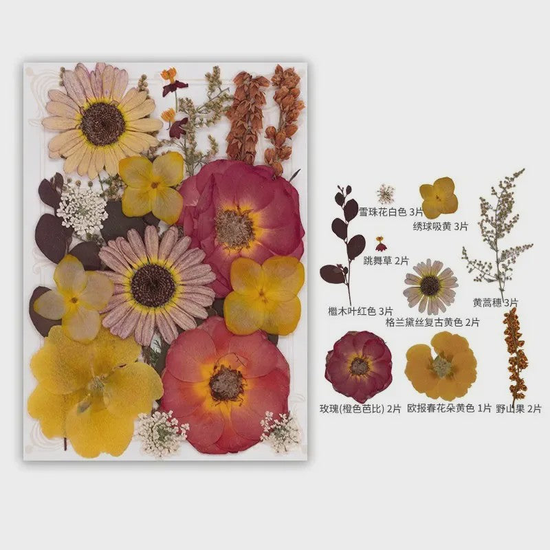Set Gedroogde Bloemen & Bladeren (16-19 Stuks) - Natuurlijk & Realistisch