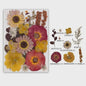 Set Gedroogde Bloemen & Bladeren (16-19 Stuks) - Natuurlijk & Realistisch