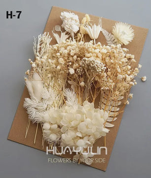 Set Gedroogde Bloemen & Hydrangea voor Ambacht & Decoratie