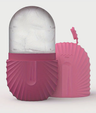 Gezichtsroller & Gua Sha Set: Luxe Roestvrij Staal & IJsroller voor Huidverzorging