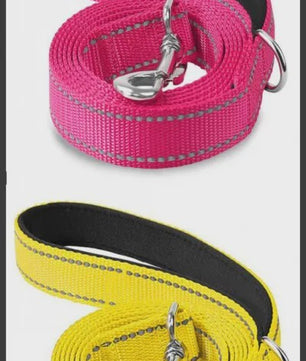 Veilige Hondentuig & Lijn Set met Nachtreflectie - Padded Handvat