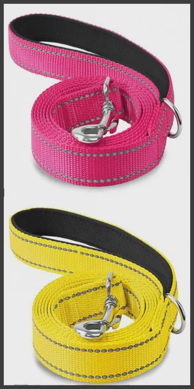 Veilige Hondentuig & Lijn Set met Nachtreflectie - Padded Handvat