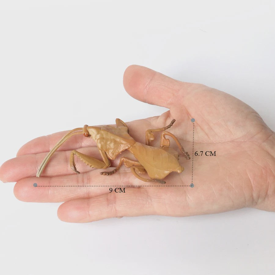 Realistische Insecten Model Figuren: Bidsprinkhaan, Bladwesp & Meer - Educatief Speelgoed & Decoratie