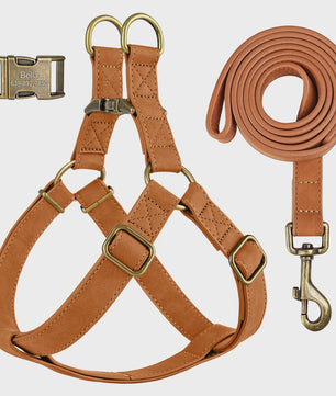 Luxe PU Leder Hondentuig met Leash en Gepersonaliseerde ID Gesp - Duurzaam voor Kleine & Middelgrote Honden