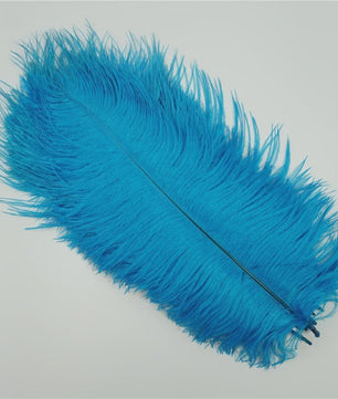 Set van 10 Gekleurde Struisvogelveren voor Knutselen, Decoratie en Feesten