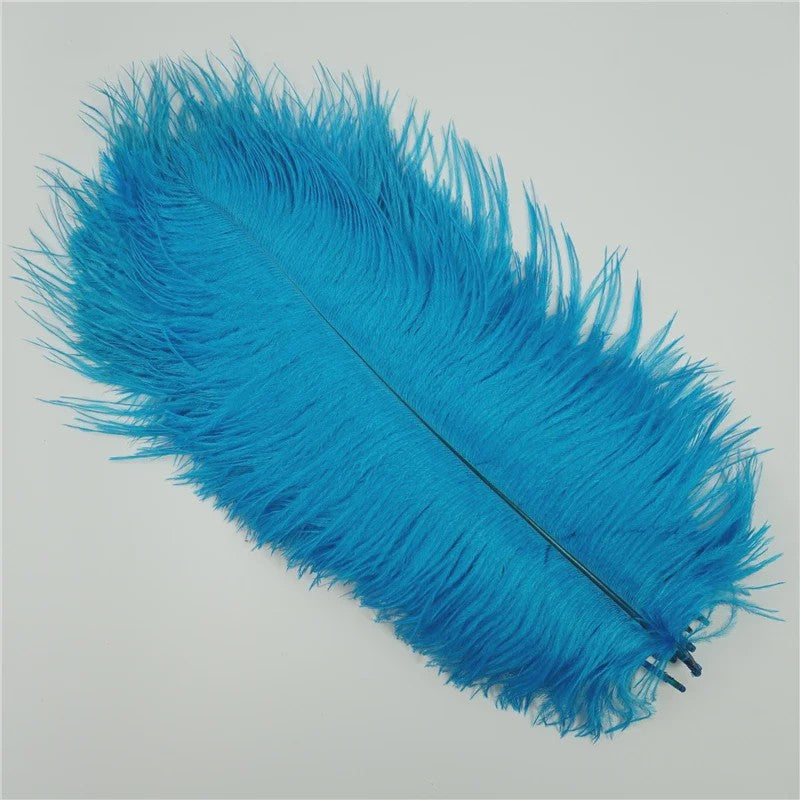 Set van 10 Gekleurde Struisvogelveren voor Knutselen, Decoratie en Feesten