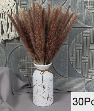 Natuurlijk Pampas Gras Boeket - Gedroogde Bloemen voor Boho Woondecoratie & Bruiloft