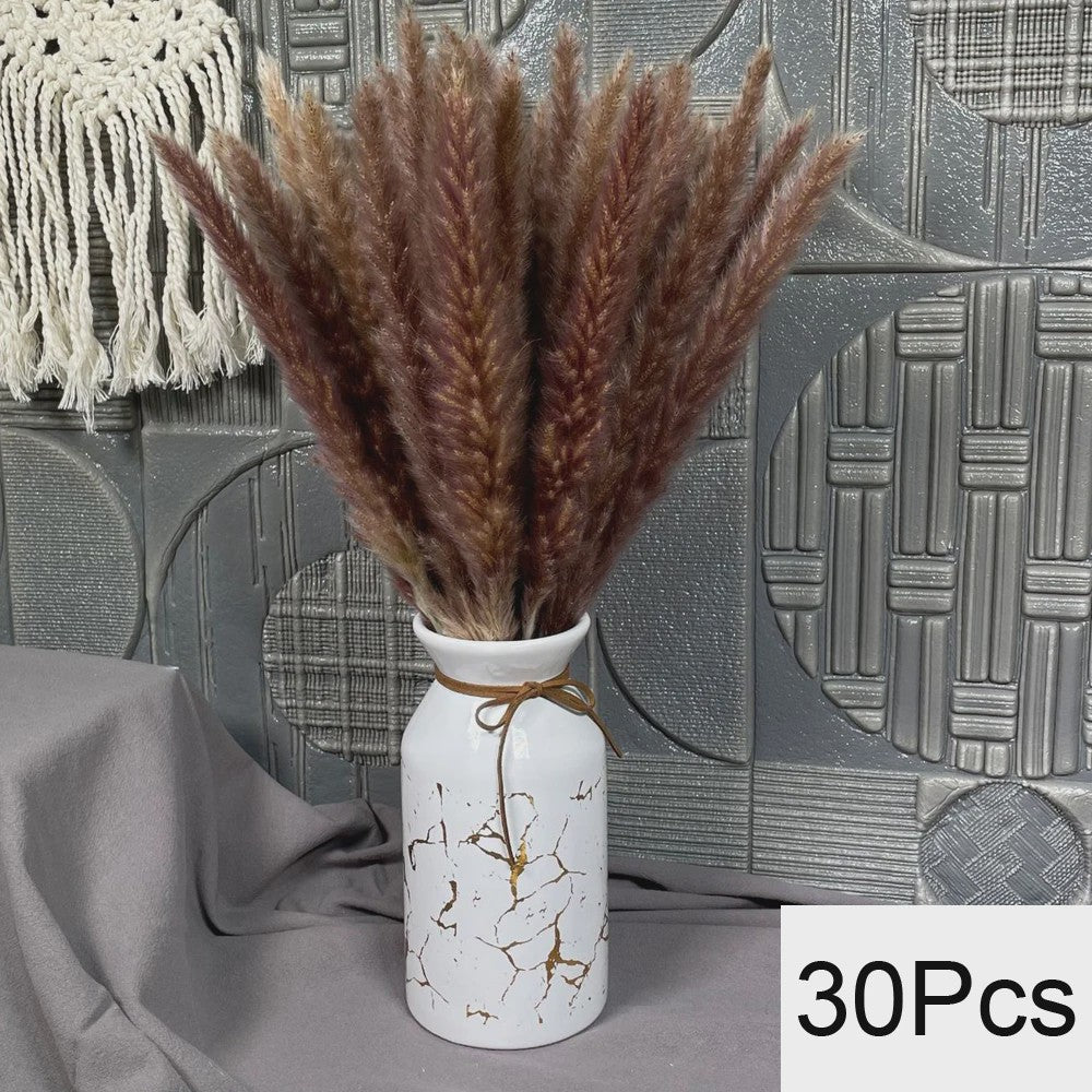 Natuurlijk Pampas Gras Boeket - Gedroogde Bloemen voor Boho Woondecoratie & Bruiloft