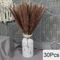 Natuurlijk Pampas Gras Boeket - Gedroogde Bloemen voor Boho Woondecoratie & Bruiloft