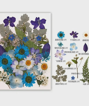 30 Stuks Gedroogde Persbloemen - Natuurlijke Bloemen & Bladeren voor Resin Art, Knutselen en Decoratie