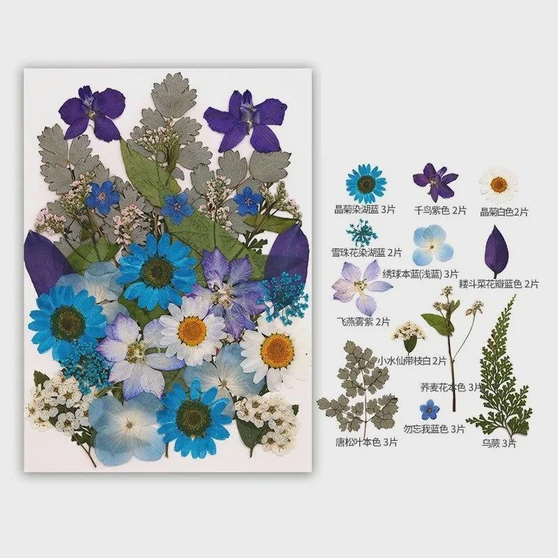 30 Stuks Gedroogde Persbloemen - Natuurlijke Bloemen & Bladeren voor Resin Art, Knutselen en Decoratie