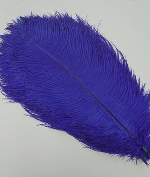 Set van 10 Gekleurde Struisvogelveren voor Knutselen, Decoratie en Feesten