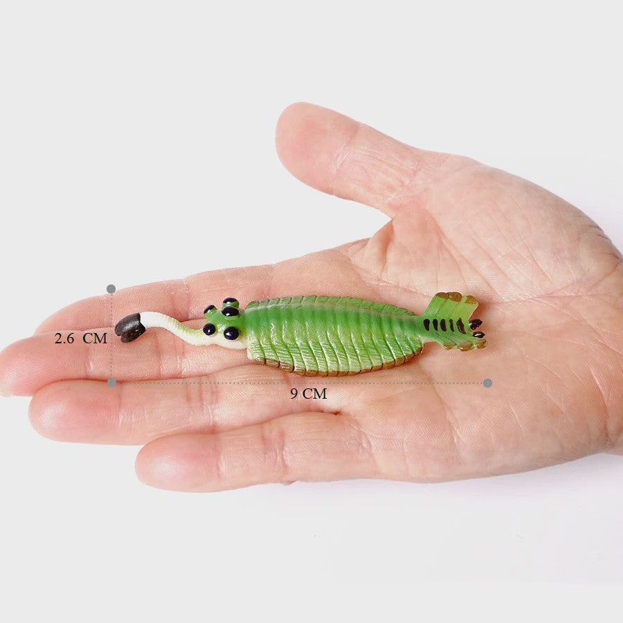 Educatieve Prehistorische Zeedieren Figuren Set: Baculite, Opabinia, Krab & Meer