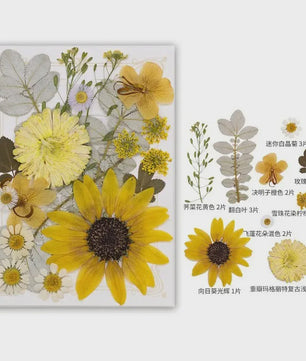Set Gedroogde Bloemen & Bladeren (16-19 Stuks) - Natuurlijk & Realistisch