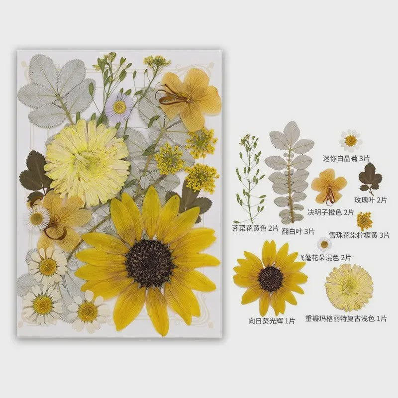 Set Gedroogde Bloemen & Bladeren (16-19 Stuks) - Natuurlijk & Realistisch