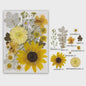 Set Gedroogde Bloemen & Bladeren (16-19 Stuks) - Natuurlijk & Realistisch