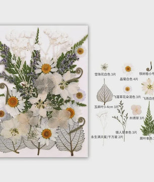 30 Stuks Gedroogde Persbloemen - Natuurlijke Bloemen & Bladeren voor Resin Art, Knutselen en Decoratie