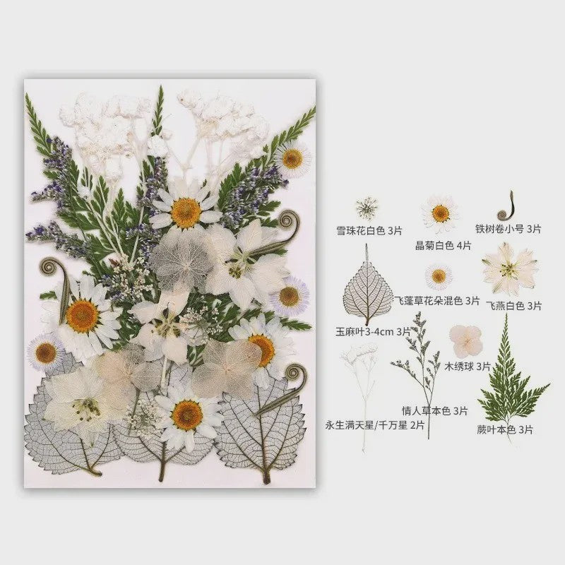 30 Stuks Gedroogde Persbloemen - Natuurlijke Bloemen & Bladeren voor Resin Art, Knutselen en Decoratie