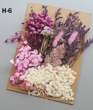 Set Gedroogde Bloemen & Hydrangea voor Ambacht & Decoratie