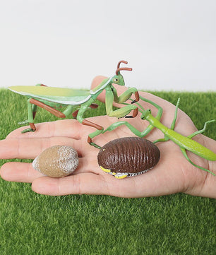 Realistische Insecten Model Figuren: Bidsprinkhaan, Bladwesp & Meer - Educatief Speelgoed & Decoratie