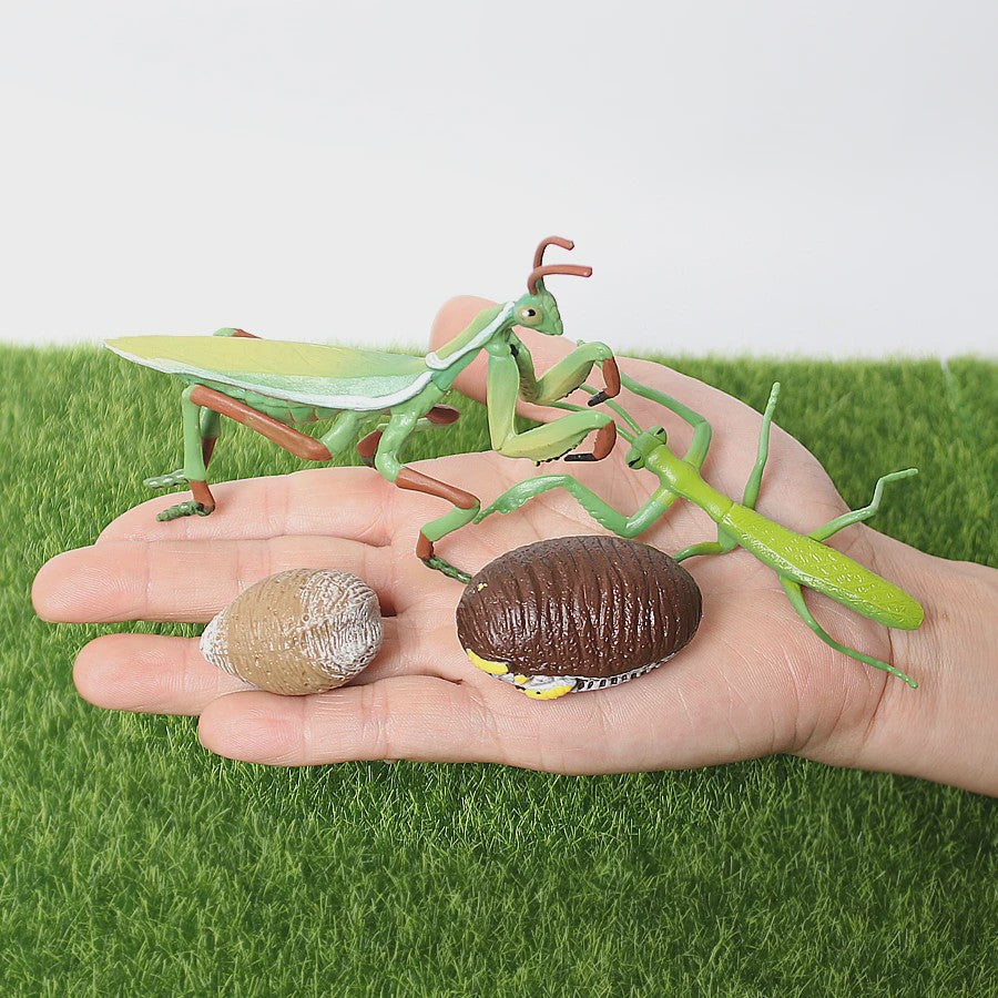 Realistische Insecten Model Figuren: Bidsprinkhaan, Bladwesp & Meer - Educatief Speelgoed & Decoratie