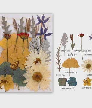 Set Gedroogde Bloemen & Bladeren (16-19 Stuks) - Natuurlijk & Realistisch