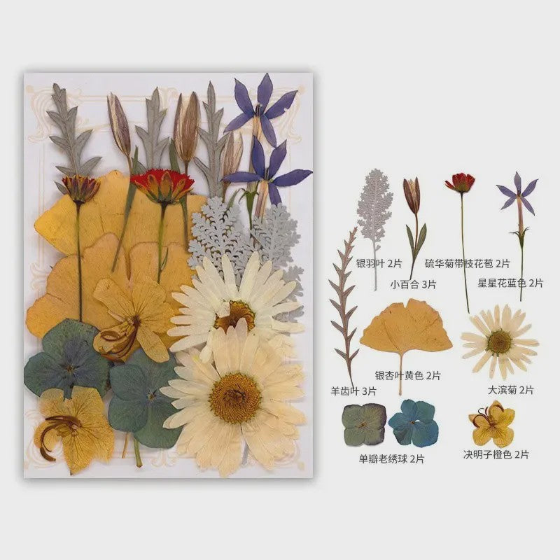 Set Gedroogde Bloemen & Bladeren (16-19 Stuks) - Natuurlijk & Realistisch
