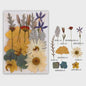 Set Gedroogde Bloemen & Bladeren (16-19 Stuks) - Natuurlijk & Realistisch