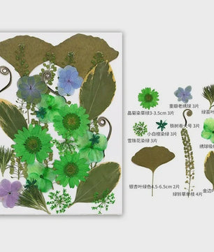 30 Stuks Gedroogde Persbloemen - Natuurlijke Bloemen & Bladeren voor Resin Art, Knutselen en Decoratie