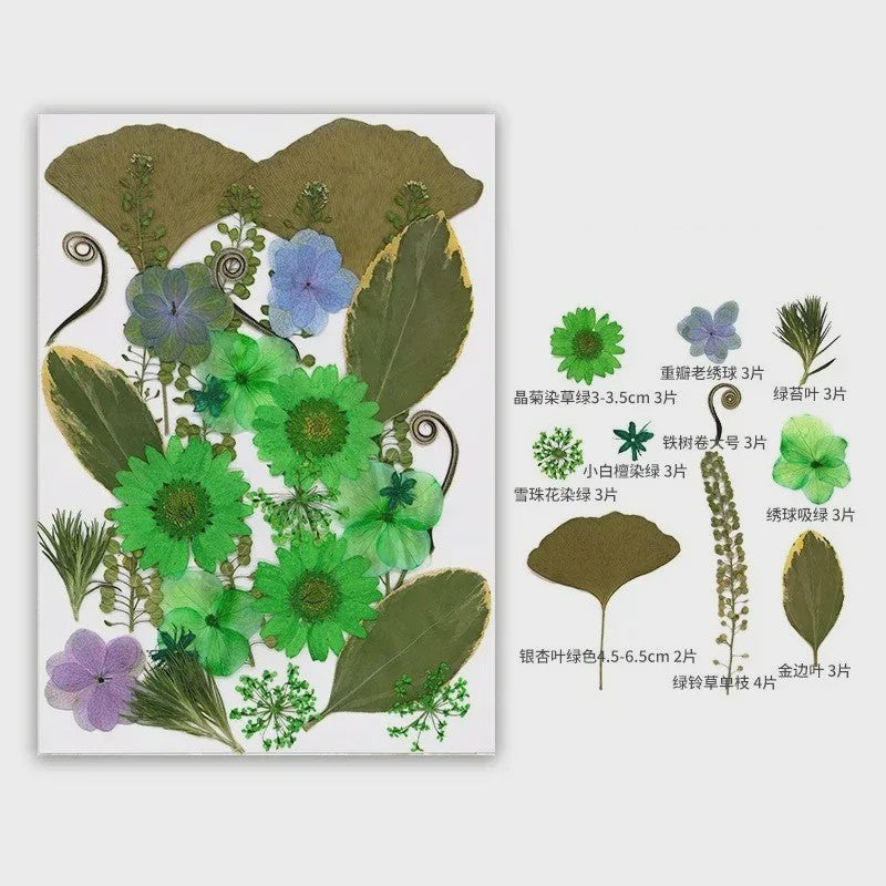 30 Stuks Gedroogde Persbloemen - Natuurlijke Bloemen & Bladeren voor Resin Art, Knutselen en Decoratie