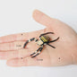Montessori Levenscyclus Insecten Speelgoed: Spin, Duizendpoot, Schorpioen & Mier
