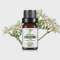 10ml Essentiële Olie Fruitgeur - Natuurlijk & Puur voor Diffusers, Zeep en Kaarsen