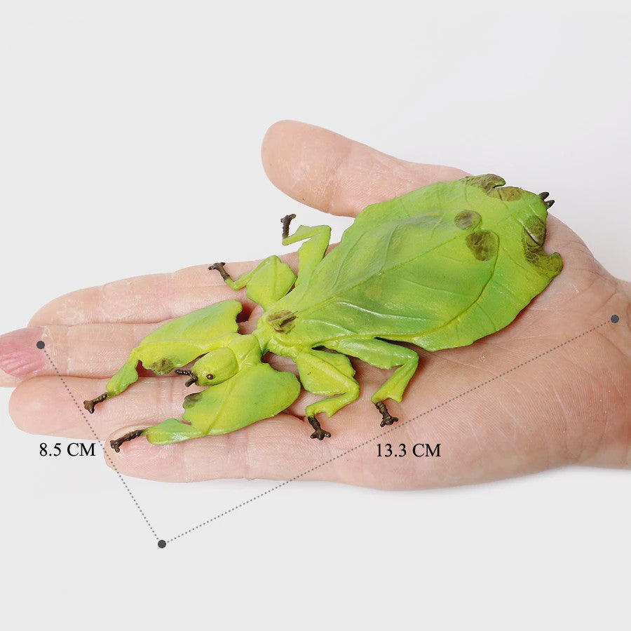 Realistische Insecten & Slakken Modellen - Educatief Speelgoed, Verzamelen & Decoratie