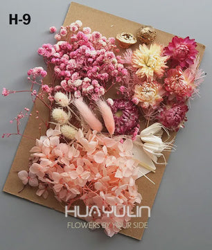 Set Gedroogde Bloemen & Hydrangea voor Ambacht & Decoratie