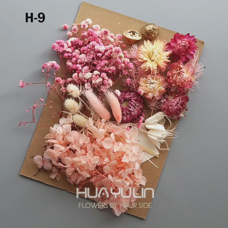 Set Gedroogde Bloemen & Hydrangea voor Ambacht & Decoratie