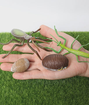 Realistische Insecten Model Figuren: Bidsprinkhaan, Bladwesp & Meer - Educatief Speelgoed & Decoratie