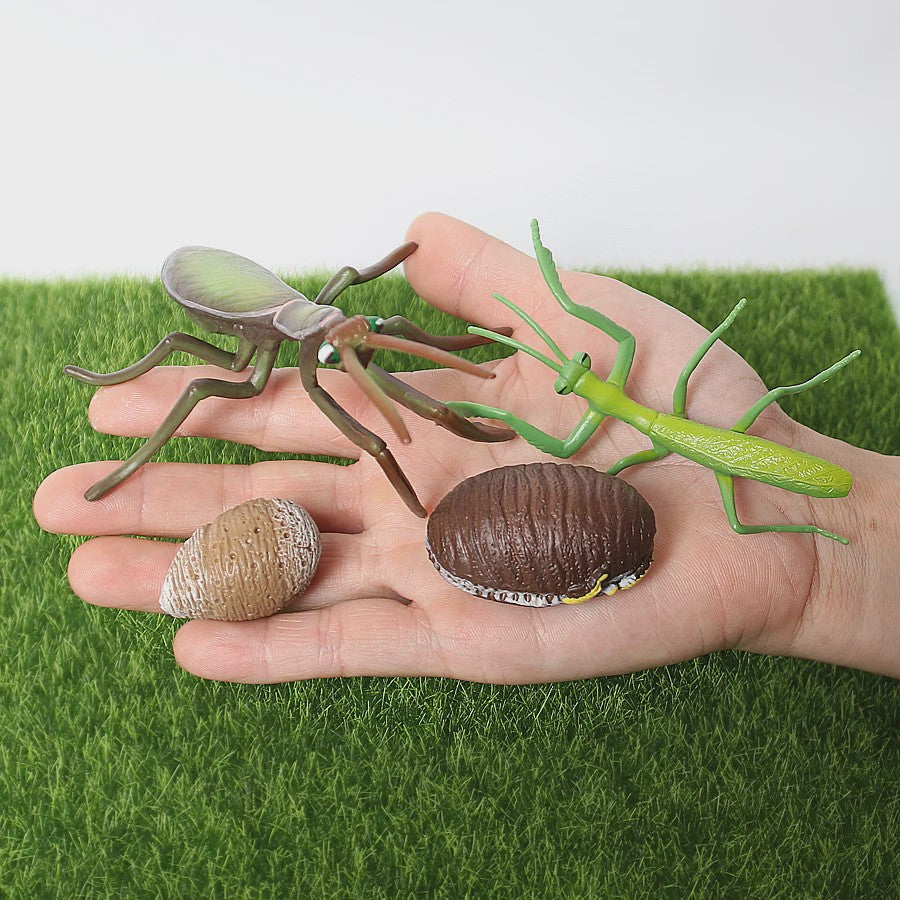 Realistische Insecten Model Figuren: Bidsprinkhaan, Bladwesp & Meer - Educatief Speelgoed & Decoratie