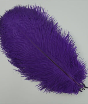 Set van 10 Gekleurde Struisvogelveren voor Knutselen, Decoratie en Feesten