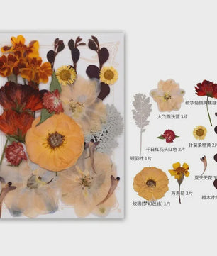 Set Gedroogde Bloemen & Bladeren (16-19 Stuks) - Natuurlijk & Realistisch