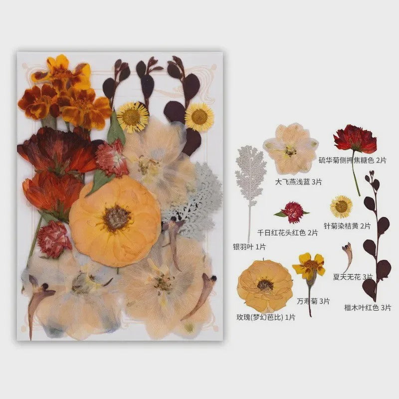 Set Gedroogde Bloemen & Bladeren (16-19 Stuks) - Natuurlijk & Realistisch
