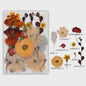 Set Gedroogde Bloemen & Bladeren (16-19 Stuks) - Natuurlijk & Realistisch
