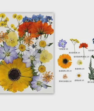 30 Stuks Gedroogde Persbloemen - Natuurlijke Bloemen & Bladeren voor Resin Art, Knutselen en Decoratie
