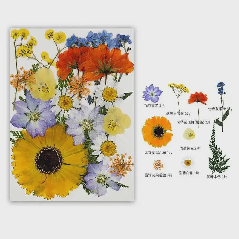 30 Stuks Gedroogde Persbloemen - Natuurlijke Bloemen & Bladeren voor Resin Art, Knutselen en Decoratie