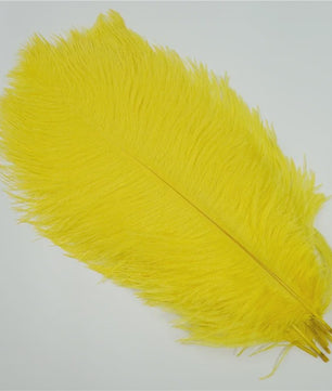 Set van 10 Gekleurde Struisvogelveren voor Knutselen, Decoratie en Feesten